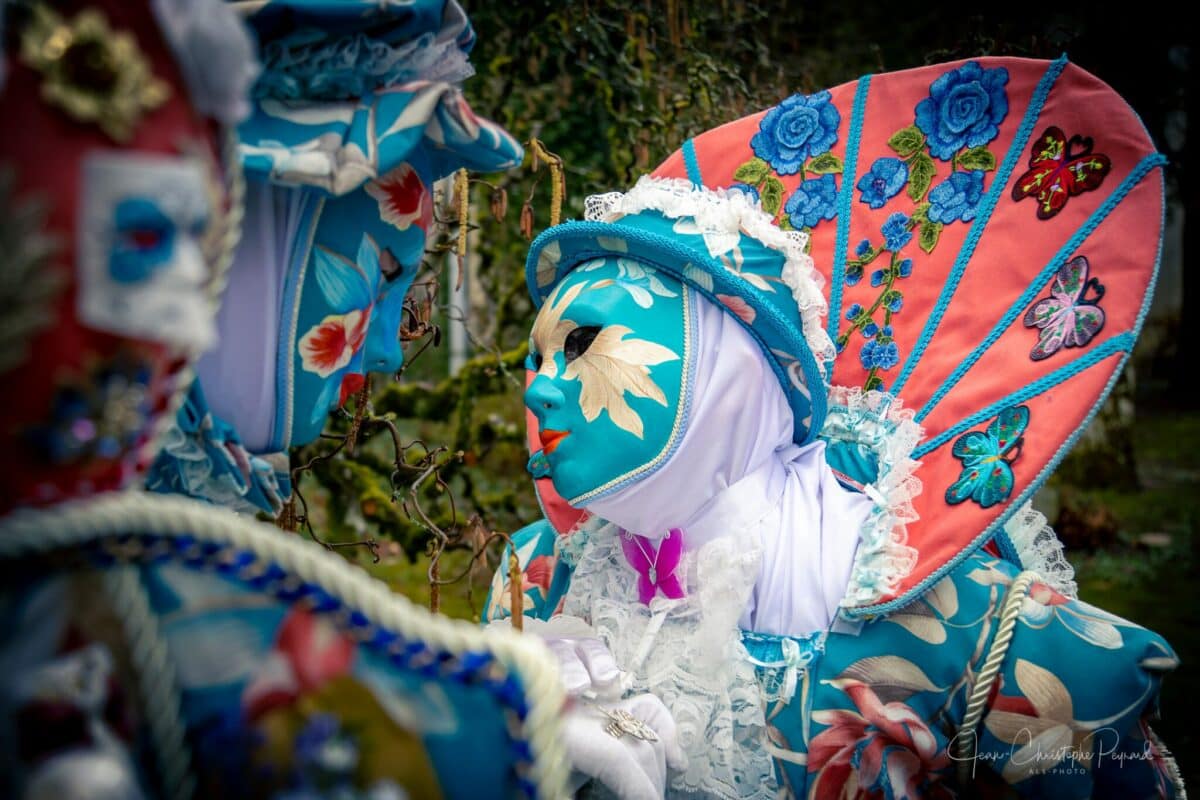 Le printemps dans les Vosges en tiny house : le carnaval vénitien